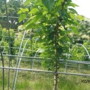 익수농장 이미지