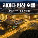 강원도동물위생시험소 | 평창 라마다 호텔 조식 사우나 펫룸 부대시설 강원도 애견동반 호텔