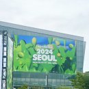 2024 워터밤 서울 후기 / 준비물, 복장, 응원봉 침수 방지 꿀팁 / 유료 물고문 체험썰 푼다
