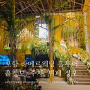 포항시북구80 | [결혼준비] 포항 라메르 웨딩 홀투어 후기(라메르 홀정보, 뷔페, 주차정보)