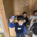 특별활동-동물체험.영어 이미지