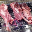 경성대리점 Daum카페