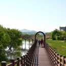 느린호수길 이팝나무길 이미지