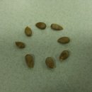 개멋진날 이미지