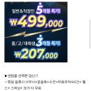 Healthy Cat 이미지