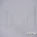 (주)화이트아웃 이미지