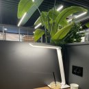 응암3파출소 화장실 | 응암스터디카페 다짐스터디카페 은평 대만족 후기