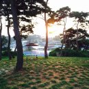 송산포도원혜농원