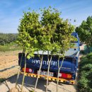 내장농장 이미지