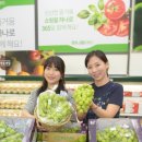 선 샤인