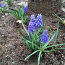 황둔황토마을 이미지