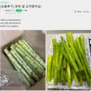 오도독 이미지