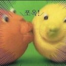 가평여행 이미지