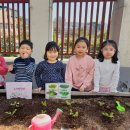 성현수정 이미지