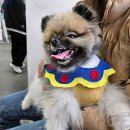 홍경태동물의료원 이미지