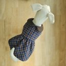 애견패션제작 이미지