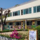 대원유치원 이미지