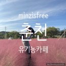 강원도동물위생시험소 | 춘천 신북 카페ㅣ가을 핑크뮬리 성지 아이동반, 애견동반 가능ㅣ유기농카페 내돈내산 솔직후기