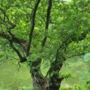 자연생활의집청도 이미지