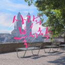 시때호프 이미지