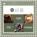 인셀덤알지