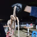 산수장 이미지