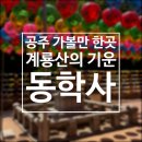 계룡산선물샵 | 공주 가볼만한곳: 계룡산 동학사 계곡 주차장부터 소요시간,솔직 후기