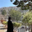 강원도 영월여행 동강시스타 리조트 105동 숙박 후기 먹거리 맛집 리스트