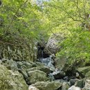 대운산 모텔 | 신불산 성지골 삼봉능선