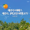 [공지] [제주투어패스] 제주도 1박2일 여행코스 내돈내산 추천