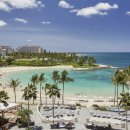 포시즌스 이미지