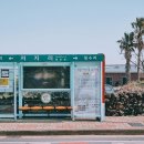 제주 올레길 14-1코스 이미지