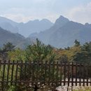 주상희행정사사무소 이미지