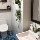 성산플로우 이미지