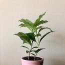 (주)보화무역 | [공정무역 1탄] 영핸즈 기자단의 생생한 공정무역 축제 후기!