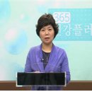건강플러스365