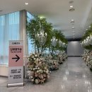 미로유통 | ᰔ w-2. ✨신상 밝은홀✨영등포 더베르G 홀투어 🕊️ 당일 계약 후기🤍