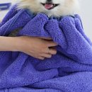 고림헬스케어