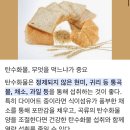 semolina (durum flour) 이미지