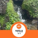 서호동-50 | 제주 한라산 숨겨진 보물 백록샘 특별 산행 솔직 후기