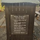 모닥 | 대구 팔공산 맛집: 모닥 텍사스바베큐 (애견동반, 크리스마스트리, 마시멜로)