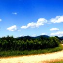 뭉개구름 이미지