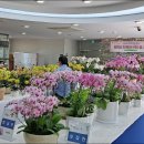 평택시 농업생태원2 이미지