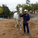 카우보이 이미지