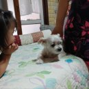 새움3로(서) 이미지