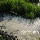 수완1제 이미지