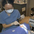 서울믿음치과의원 이미지