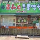 강선초등학교 | 고양 주엽동 동물병원 로하스동물병원 위치 오는길 후기