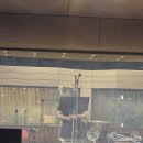 스튜디오이유 이미지