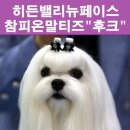 히든밸리켄넬 네이버블로그